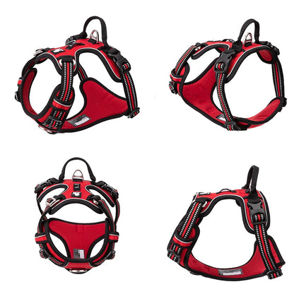 Adventure Reflective Dog Harness